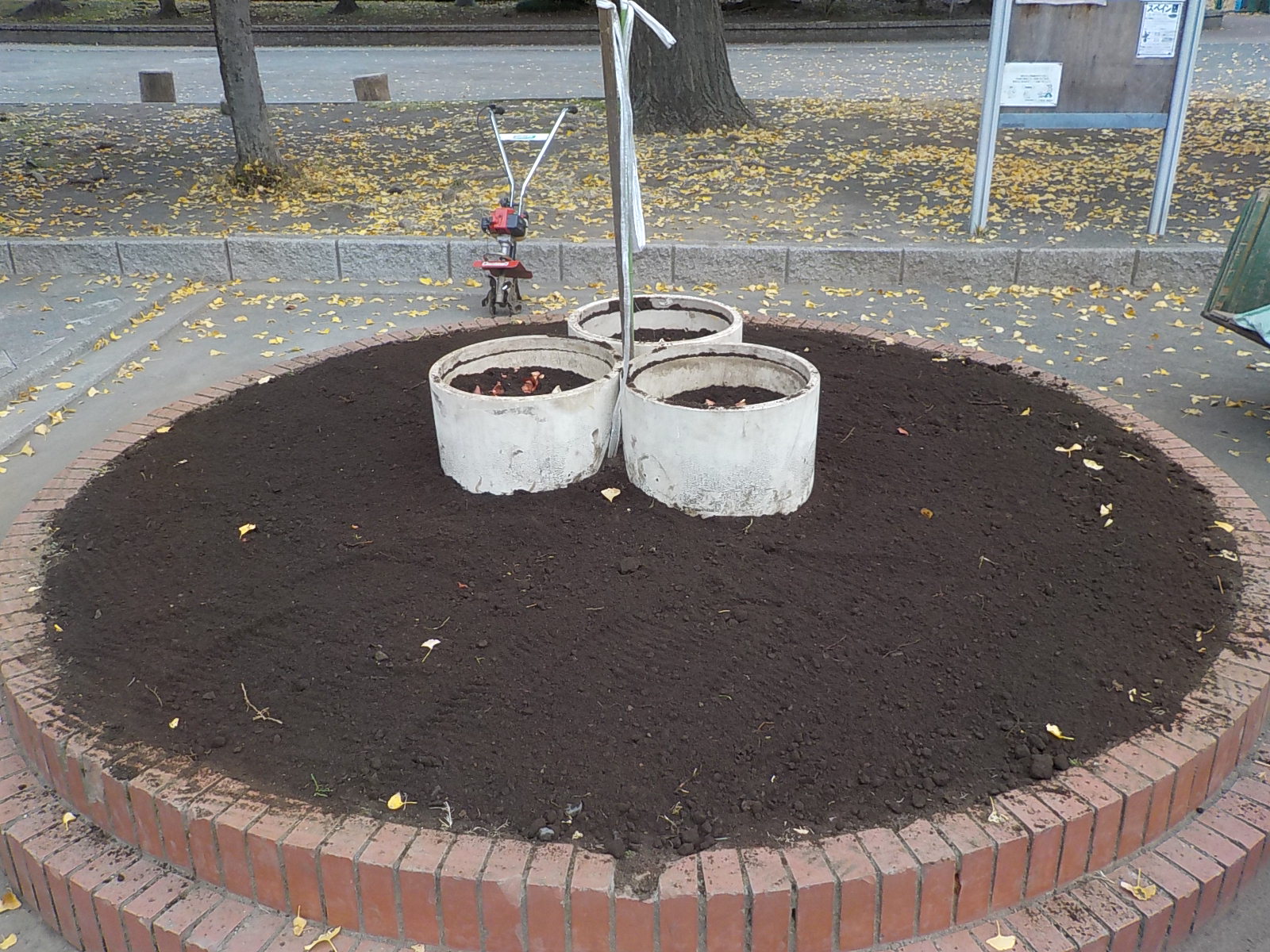 円形花壇にチューリップの球根を植えました 潮田公園